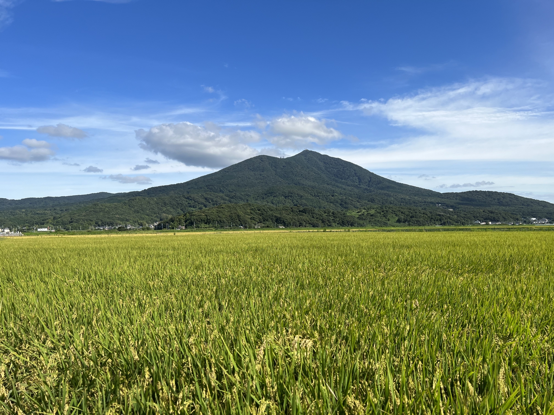 4. お客様の声