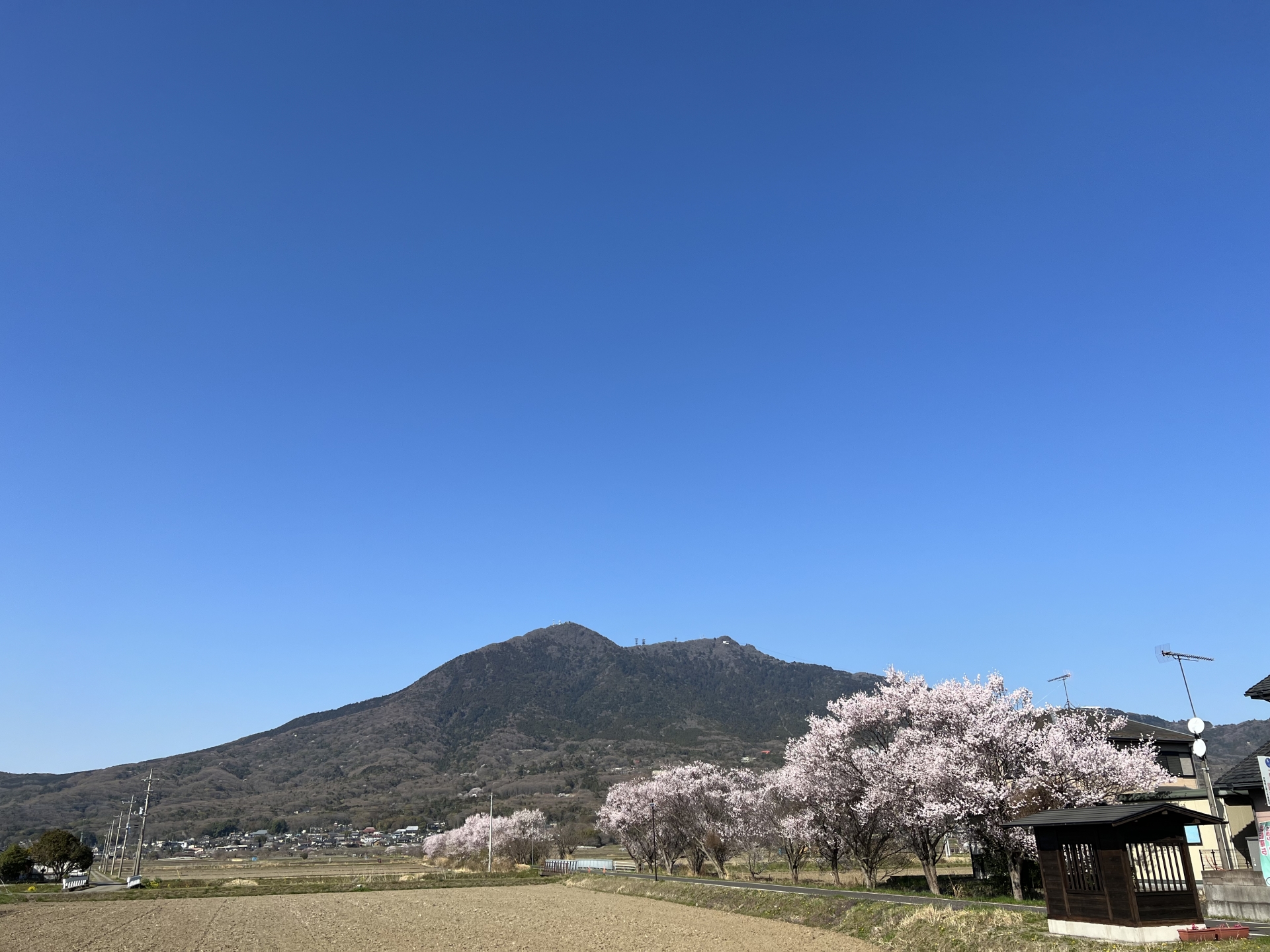 4. つくば市の市場価値を分析